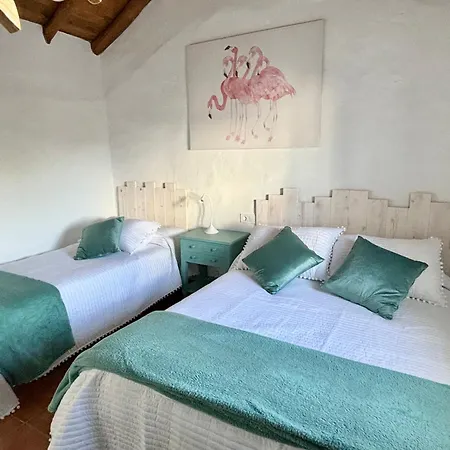 Casa Juan Harina Holiday home Setenil De Las Bodegas